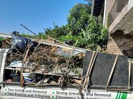 Best Demolition Debris Removal  in Greeneville, TN